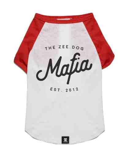 REMERA ZEEDOG XS